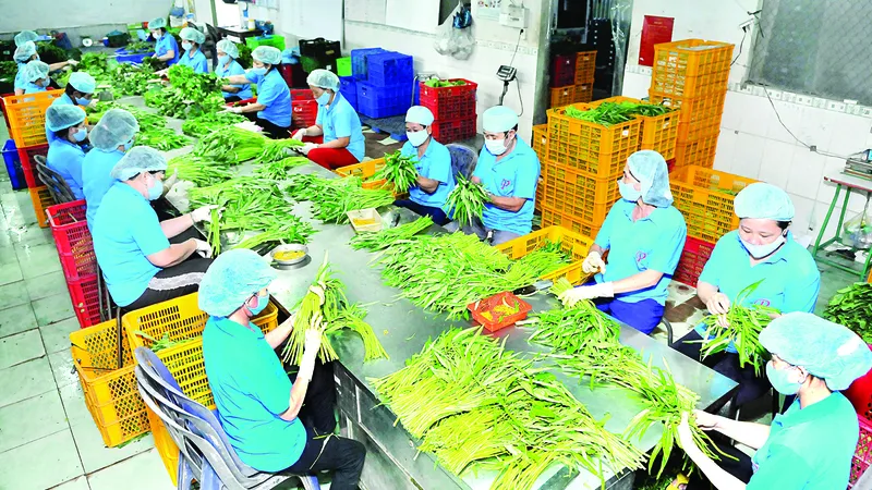 Xuất khẩu nông sản tăng trưởng ấn tượng từ đầu năm 