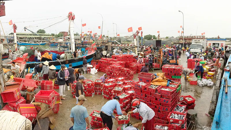 Chắp cánh khát vọng vươn khơi