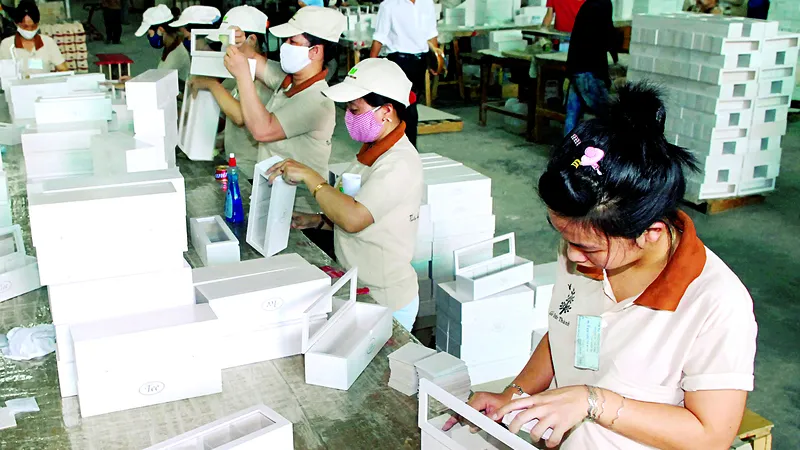 Lâm nghiệp Việt khẳng định vị thế