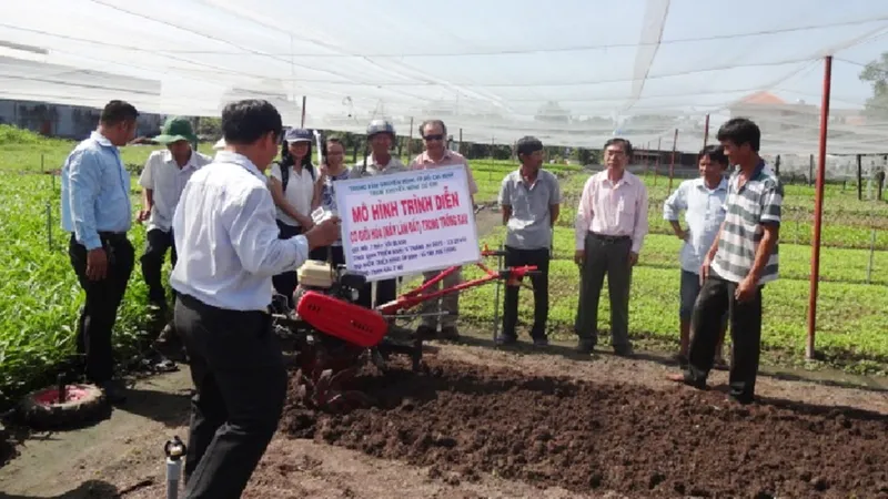 Lợi ích cơ giới hóa trên cây rau