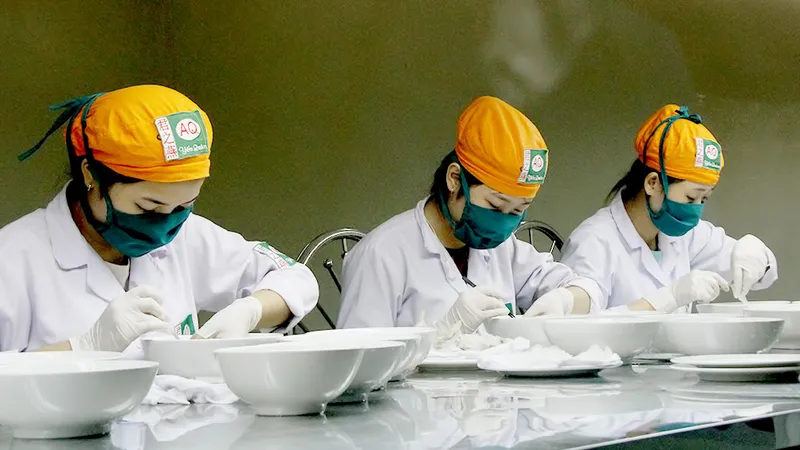 Lúng túng quản lý nghề nuôi yến