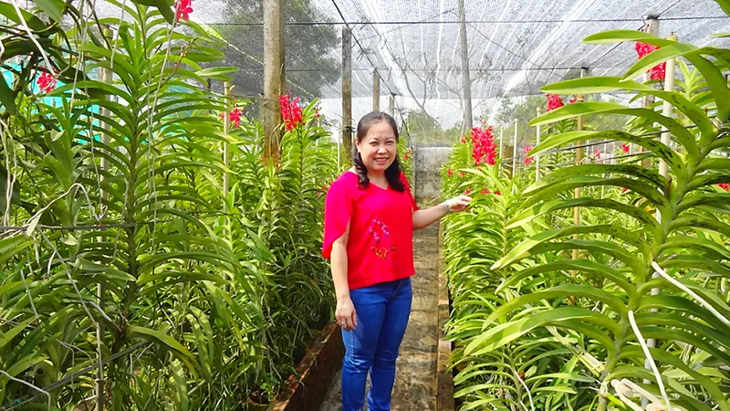 Thu nhập 400 triệu đồng/năm từ lan