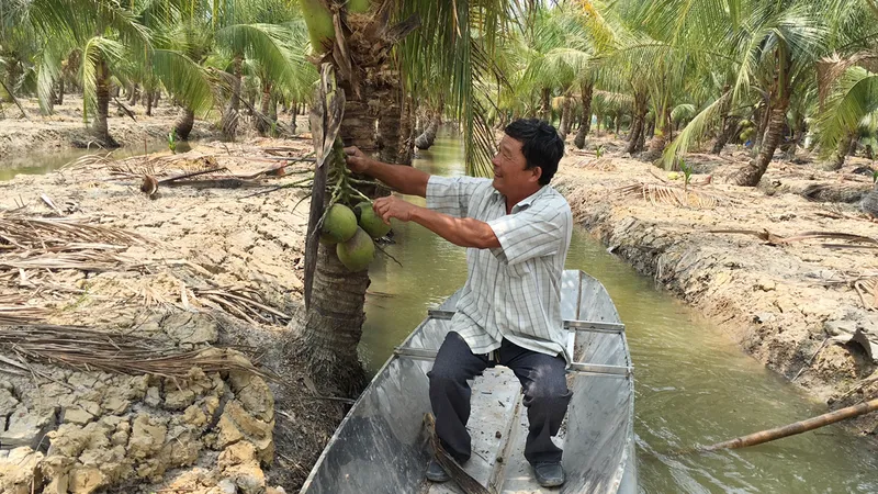 Khi nông dân TPHCM “chuyển bộ”