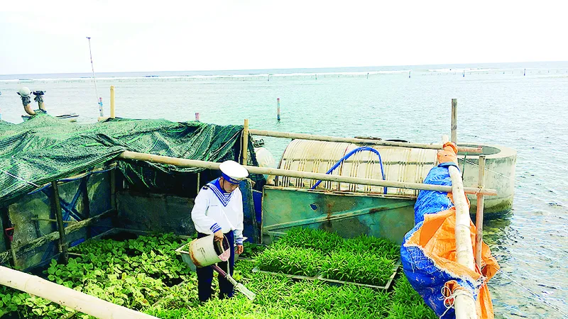 Nhịp sống Trường Sa