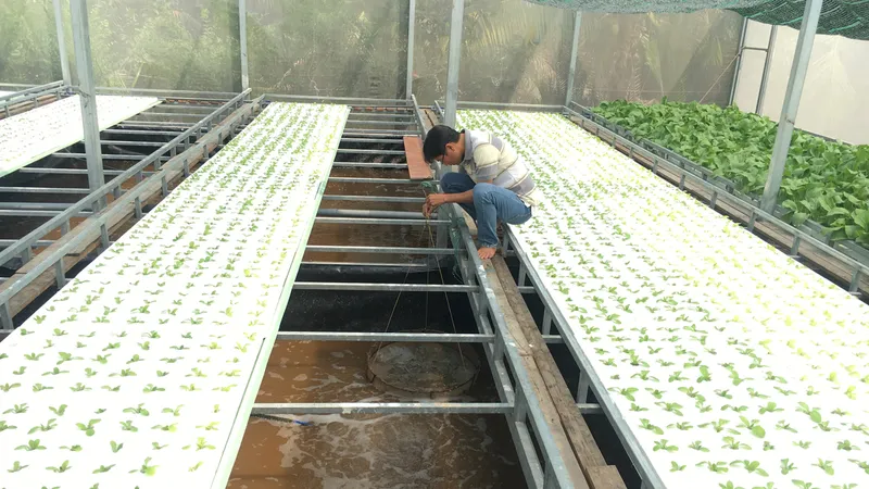 Đất sản xuất nông nghiệp: Người cần không có, người có thì… làm khó