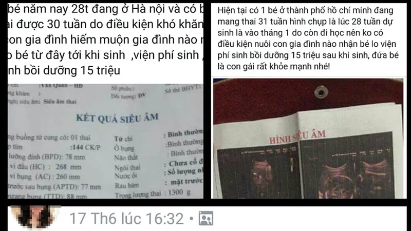 Cho và nhận con nuôi qua mạng