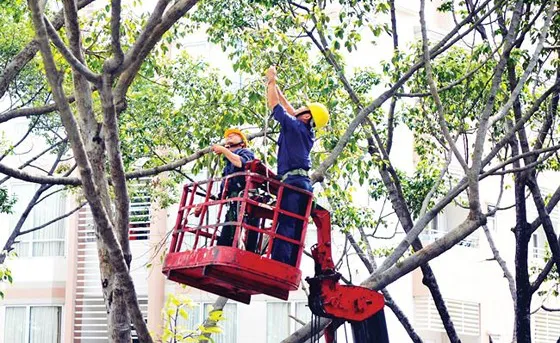 Thiếu phương tiện tỉa cành, cắt nhánh cây trong mùa mưa bão