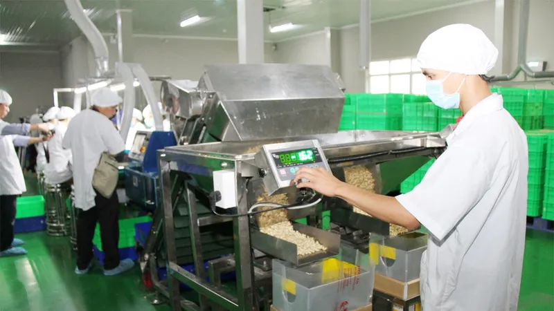 Ngành điều toàn cầu hướng đến sự ổn định