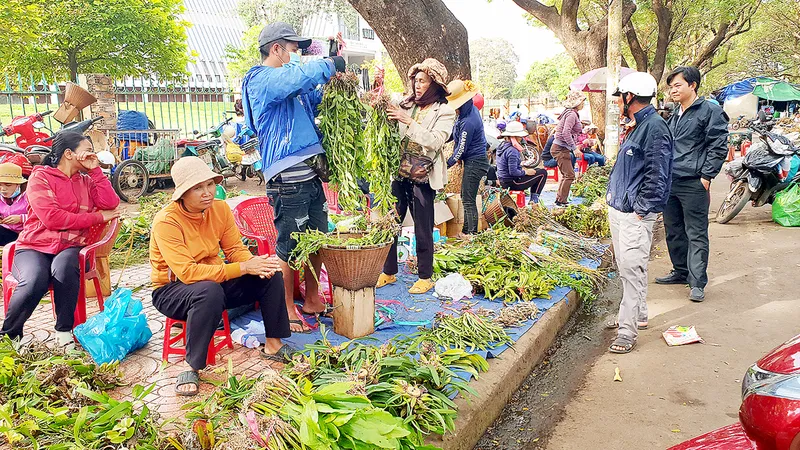 Cạn kiệt lan rừng