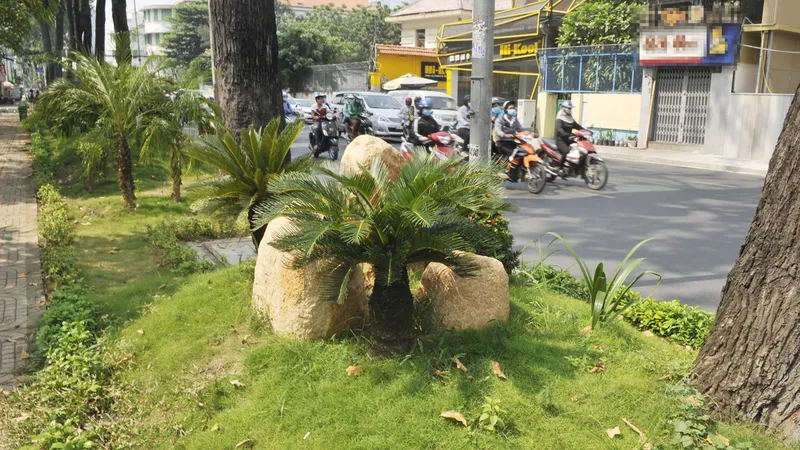Dọn phố đón tết