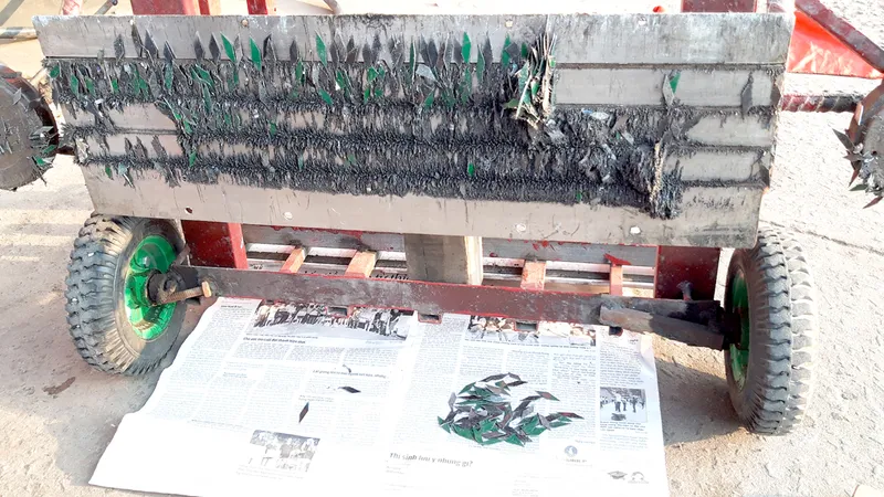 Gam màu đẹp về tình cộng đồng