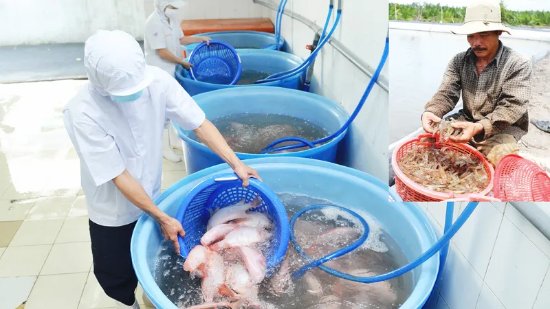 3 khó khăn chính kiềm hãm ngành thủy sản 