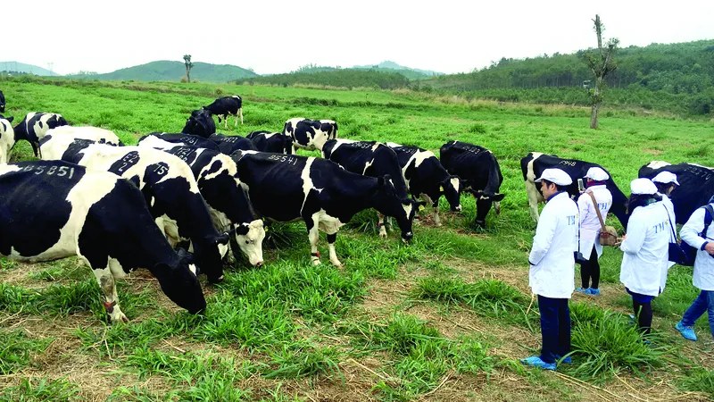 Đa dạng hóa giải pháp để đạt mục tiêu xuất khẩu nông nghiệp