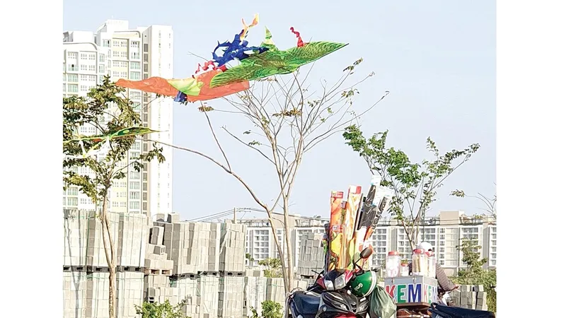 Mùa diều về phố