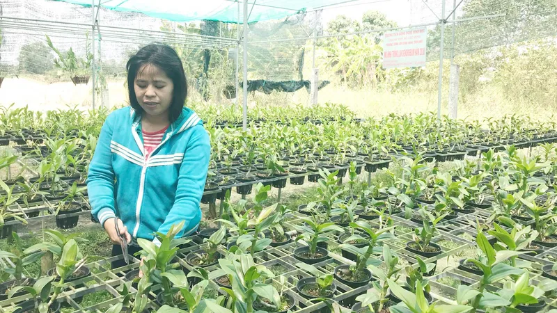 Quy hoạch “treo” làm khó sản xuất nông nghiệp