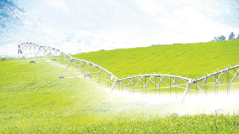 Nữ doanh nhân Thái Hương: 3 lần liên tiếp lọt vào danh sách những phụ nữ có ảnh hưởng nhất Việt Nam