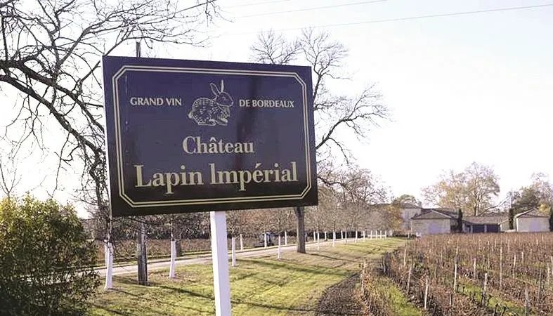 Một cánh đồng nho của château Thỏ Đế Vương 
