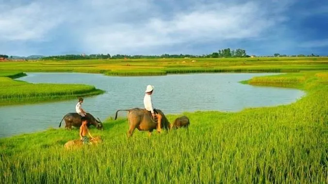 Ai cũng có một quán thanh xuân để trở về