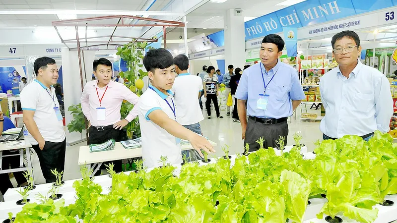 TPHCM xúc tiến các chương trình hàng Việt quy mô lớn 