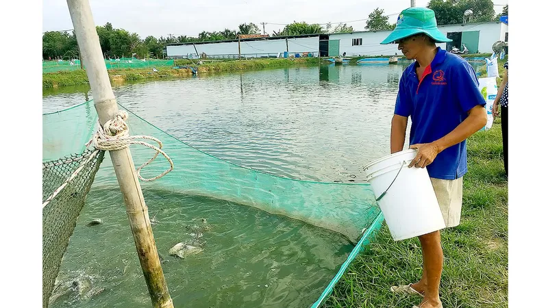 Tập trung sản xuất giống thủy sản 