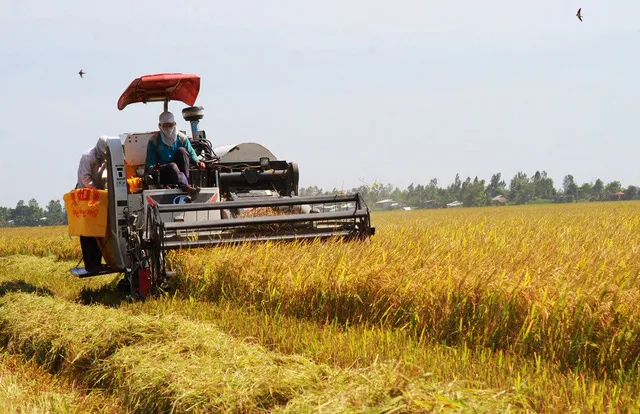 Cơ giới hóa nông nghiệp, nâng cao giá trị sản phẩm