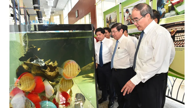 TPHCM xây dựng bộ tiêu chí nông thôn mới phù hợp với quá trình đô thị hóa 