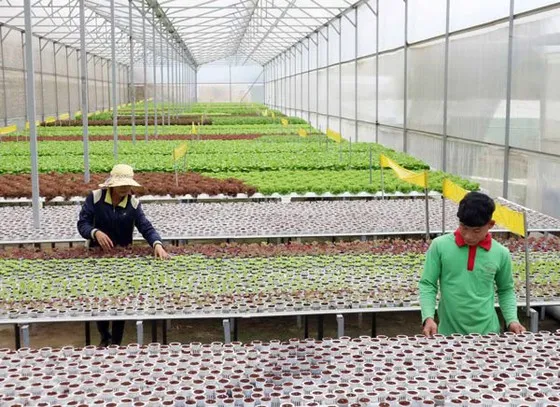 TPHCM phát triển công nghiệp công nghệ cao gắn với vùng 