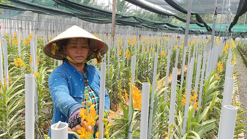 Hướng đến phát triển bền vững