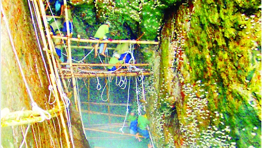 Công ty Yến sào Khánh Hòa: Luôn xứng đáng với niềm tin khách hàng