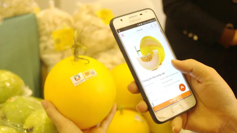 Hỗ trợ truy xuất hàng hóa và phát triển xuất khẩu