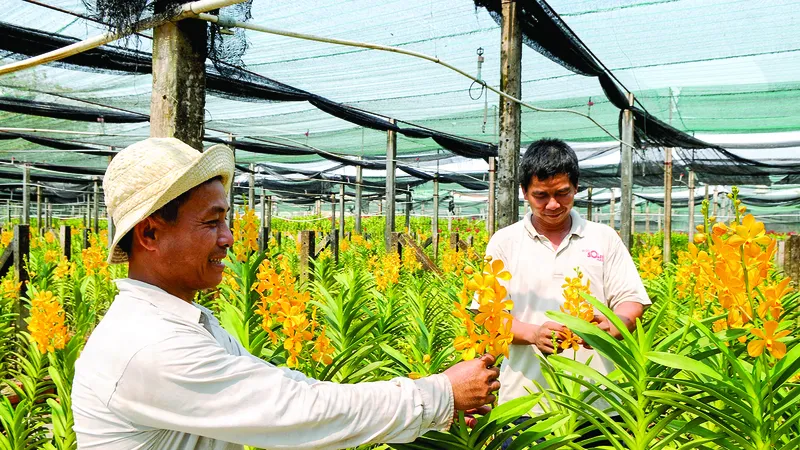 Sản phẩm nông nghiệp chủ lực khó tìm đầu ra 