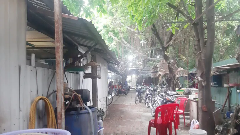 Khổ vì mua đất bằng giấy tay