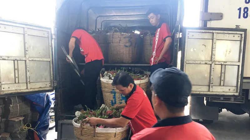 Chi phí logistics cao hơn so với các chi phí khác đã làm giảm năng lực cạnh tranh của nông sản Việt Nam trên thị trường trong và ngoài nước
