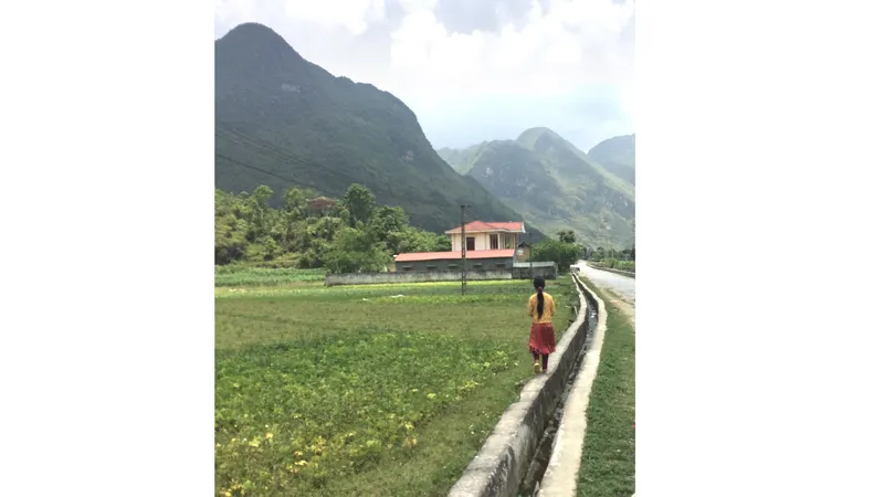 Chiều mưa phố núi