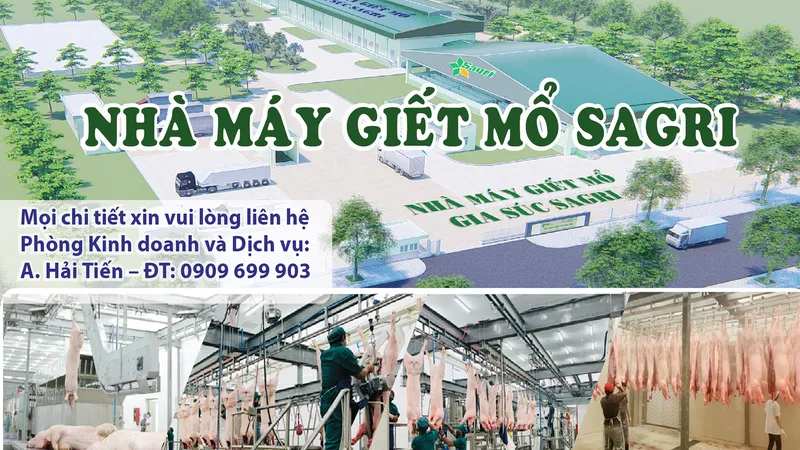 Nhà máy giết mổ gia súc Sagri công nghệ châu Âu tại TPHCM