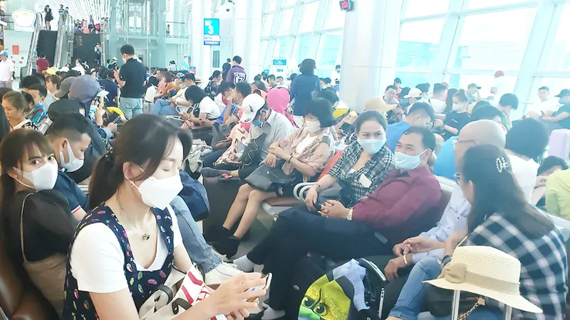 Lượng khách các đường bay nội địa đã tăng trở lại trong thời gian gần đây
