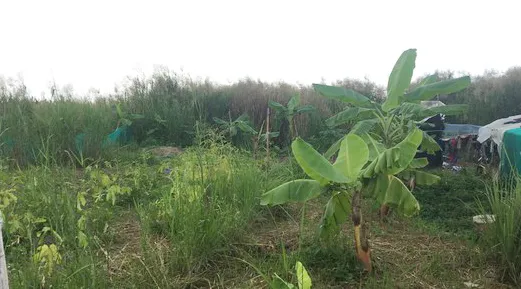 Sao vẫn chưa nhận được tiền đền bù?