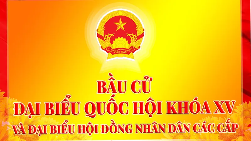 Tiếp nhận hồ sơ ứng cử đại biểu Quốc hội và đại biểu HĐND TPHCM