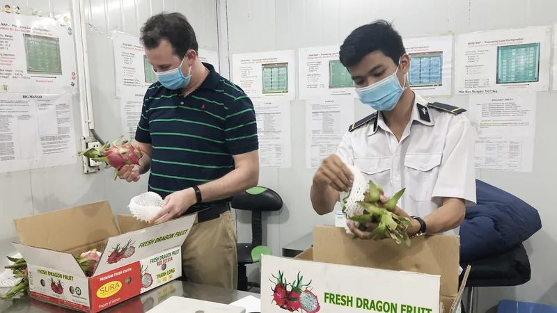 Trái cây Việt được thế giới ưa chuộng 
