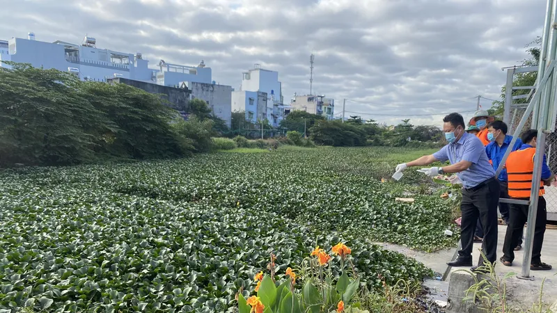 Khơi thông dòng chảy nghiên cứu khoa học 