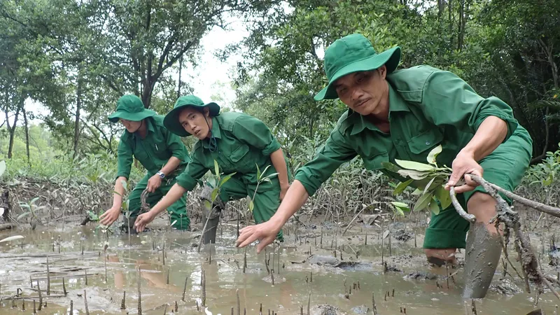 Thích ứng với biến đổi khí hậu để phát triển bền vững
