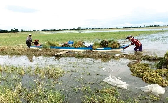 Mức sống của người dân ĐBSCL thấp hơn trung bình cả nước