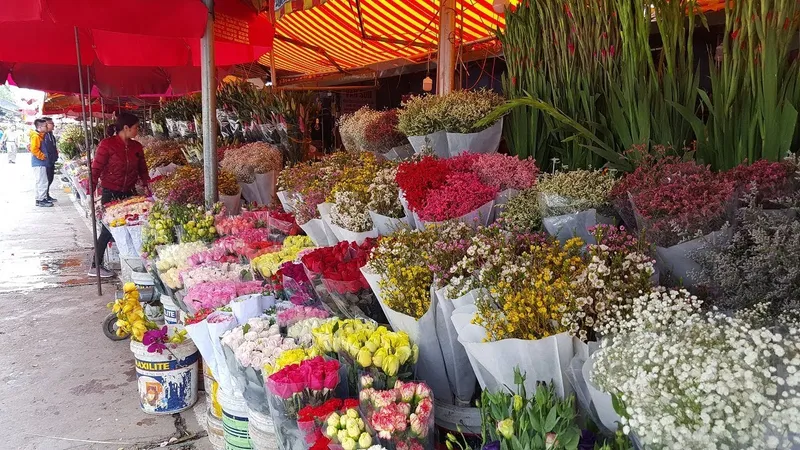 Chợ hoa Đầm Sen hoạt động tạm từ ngày 11-6 đến 13-6