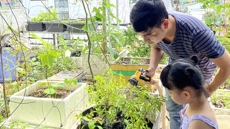 Chốn yên giữa lòng phố thị