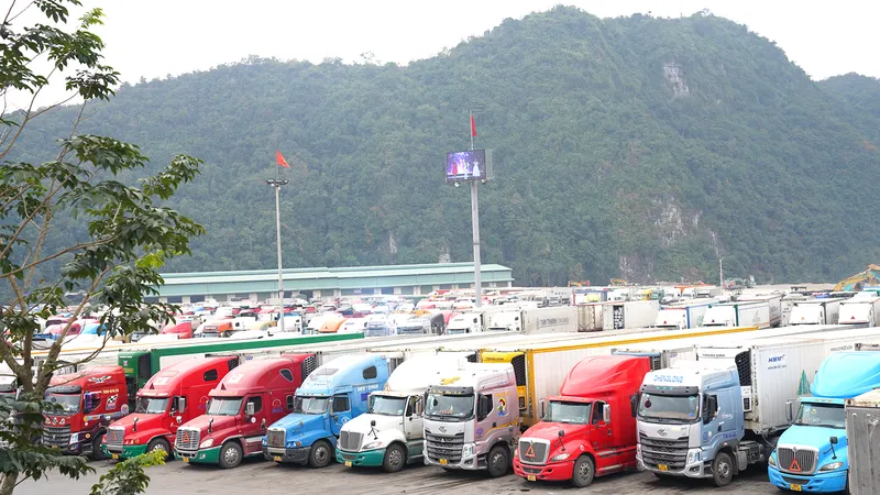 Trung Quốc dỡ bỏ chính sách “zero covid”: Sẵn sàng thích ứng