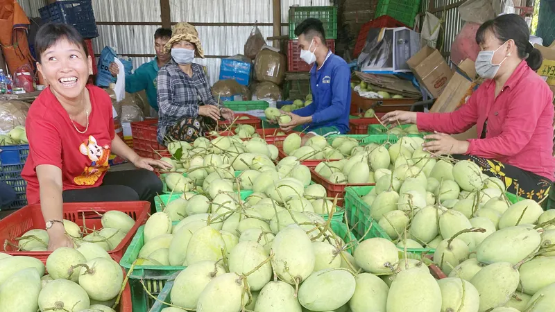 Nông sản miền Tây hút hàng