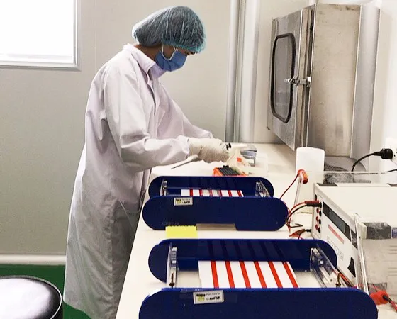 Hợp tác nâng cao năng lực giám định hài cốt trong chiến tranh