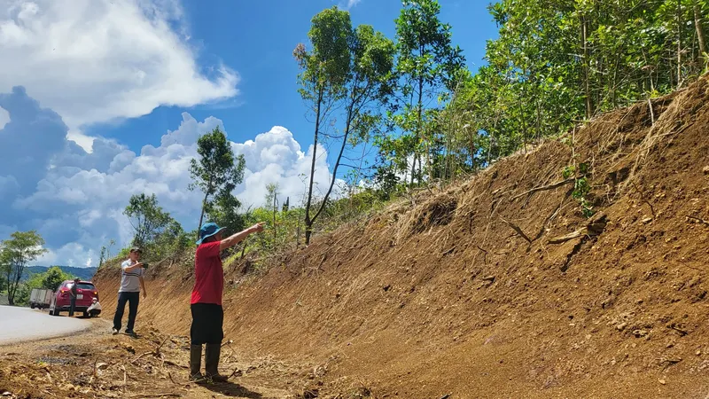 Dù đất cùng cây cà phê của hộ ông A Brên (thôn Vi Choong, xã Hiếu, huyện Kon Plông, tỉnh Kon Tum) không thuộc diện thu hồi nhưng nhà thầu vẫn tự tiện san ủi, làm thiệt hại tài sản của gia đình