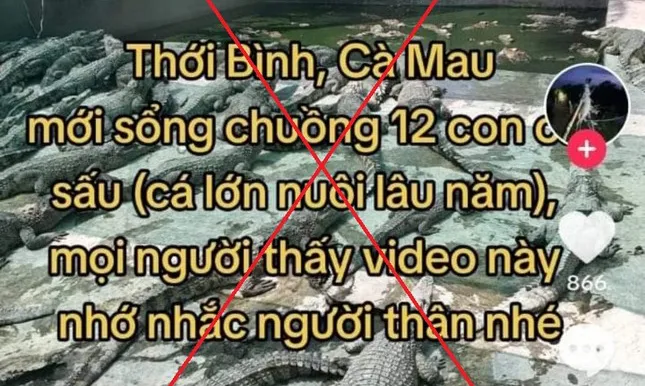 12 con cá sấu ở Cà Mau xổng chuồng là tin thất thiệt