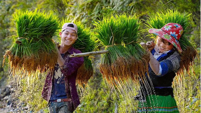 Cảnh sắc lộng lẫy của Việt Nam qua góc nhìn của các nhiếp ảnh gia quốc tế